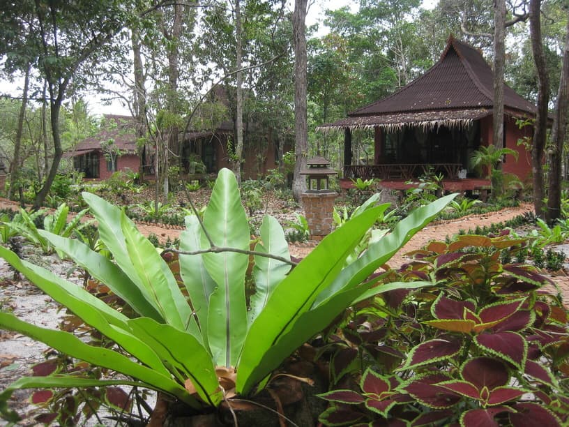 beautiful-exterior-of-our-resort-at-bamboo-bungalows-koh-phayam (1)-min